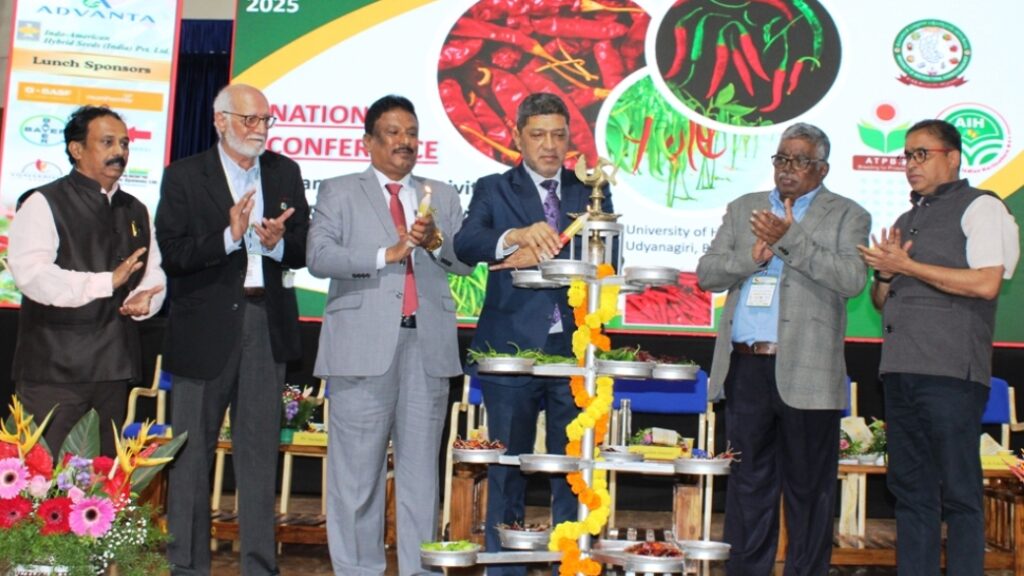 ಮೆಣಸಿನಕಾಯಿ