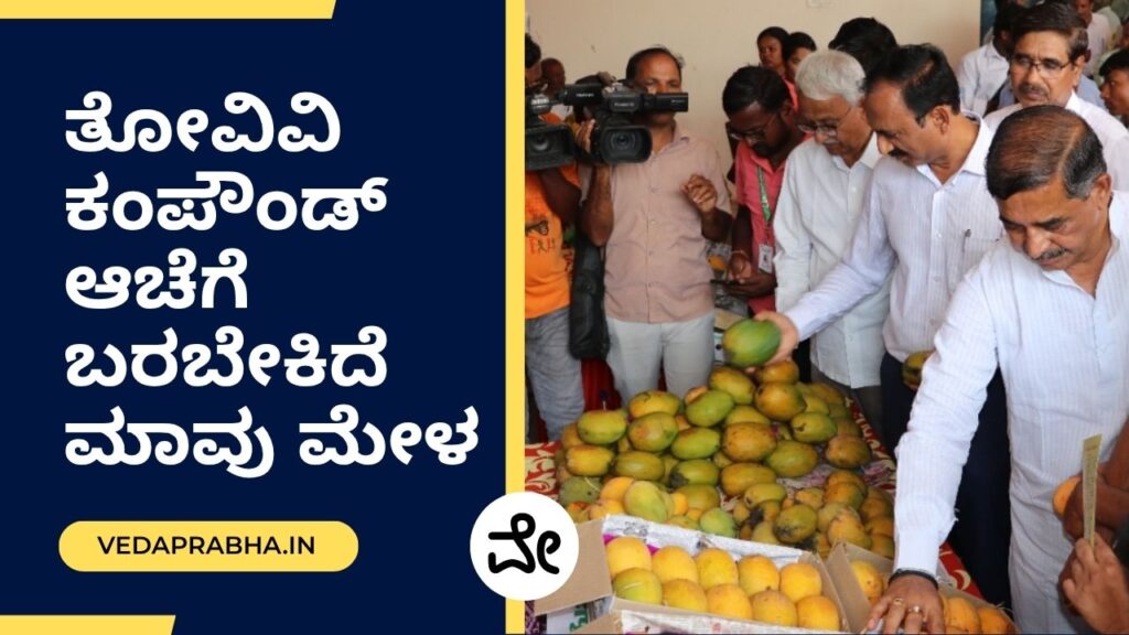 ಮಾವು
